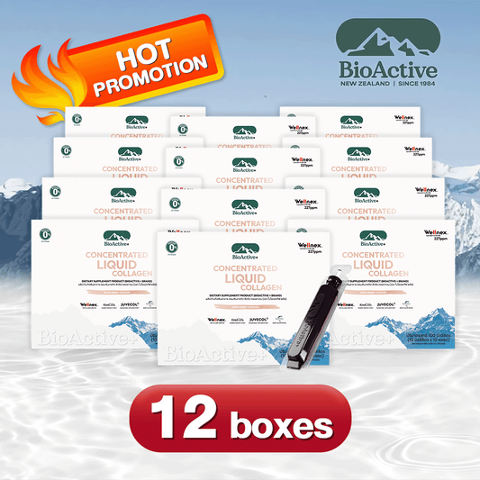 BioActive+ Concentrate Liquid Collagen Drink 12 Boxes