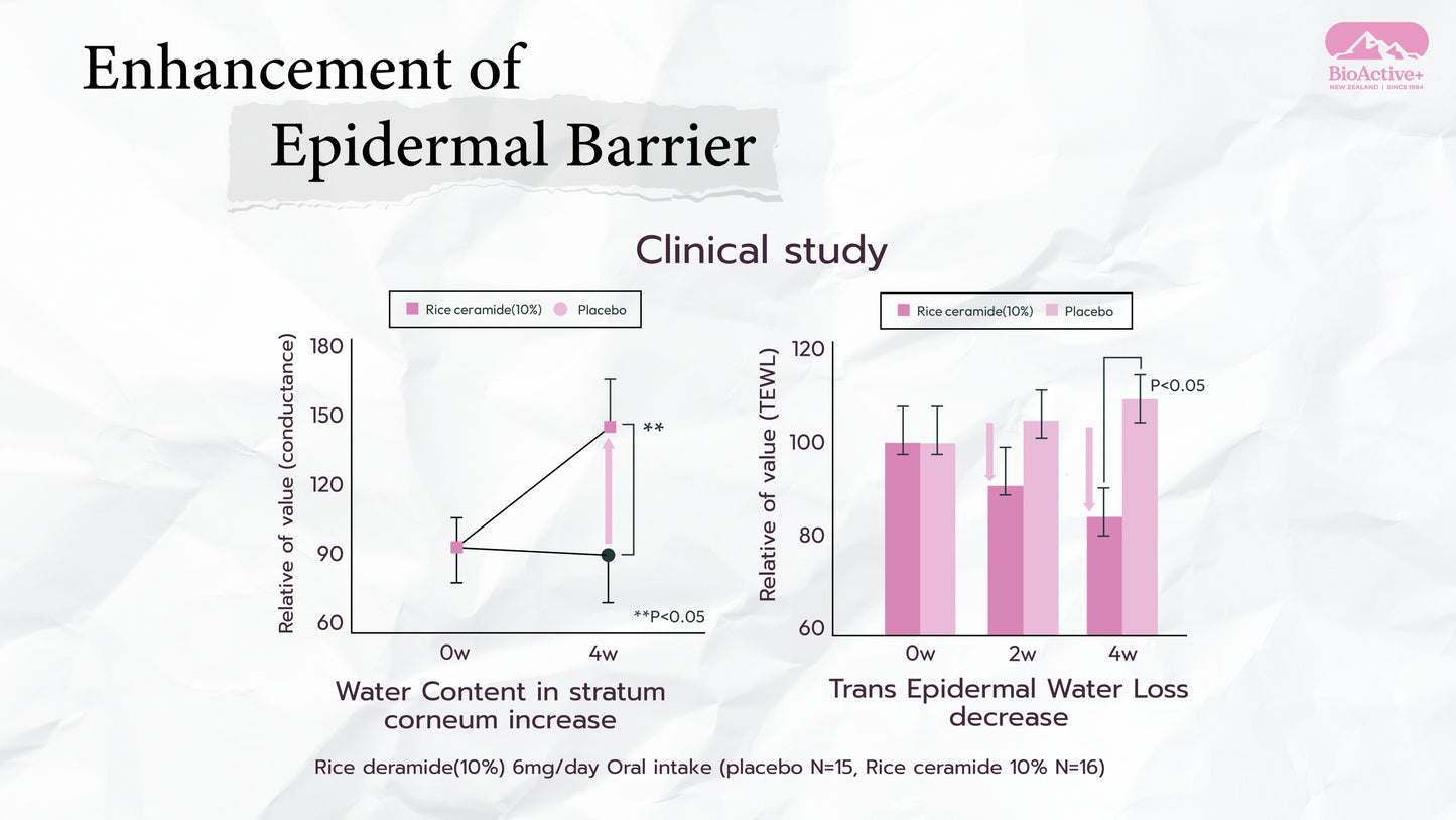 BioActive+ Concentrate Liquid Gluta