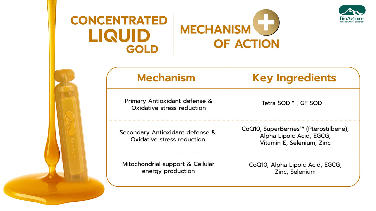 BioActive+ Concentrate Liquid Gold