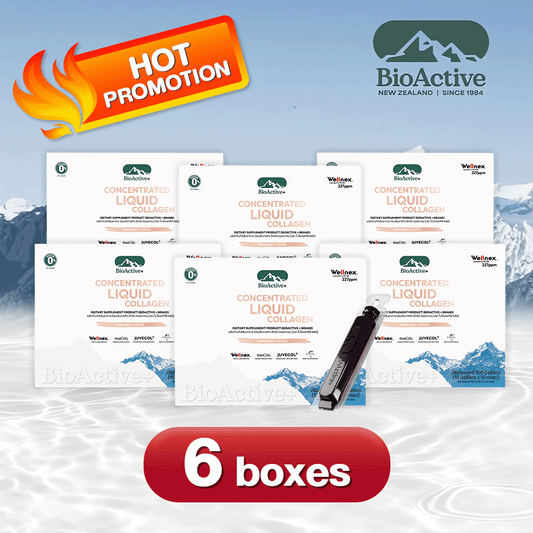 BioActive+ Concentrate Liquid Collagen Drink 6 Boxes