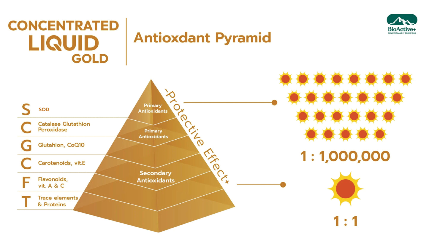 BioActive+ Concentrate Liquid Gold