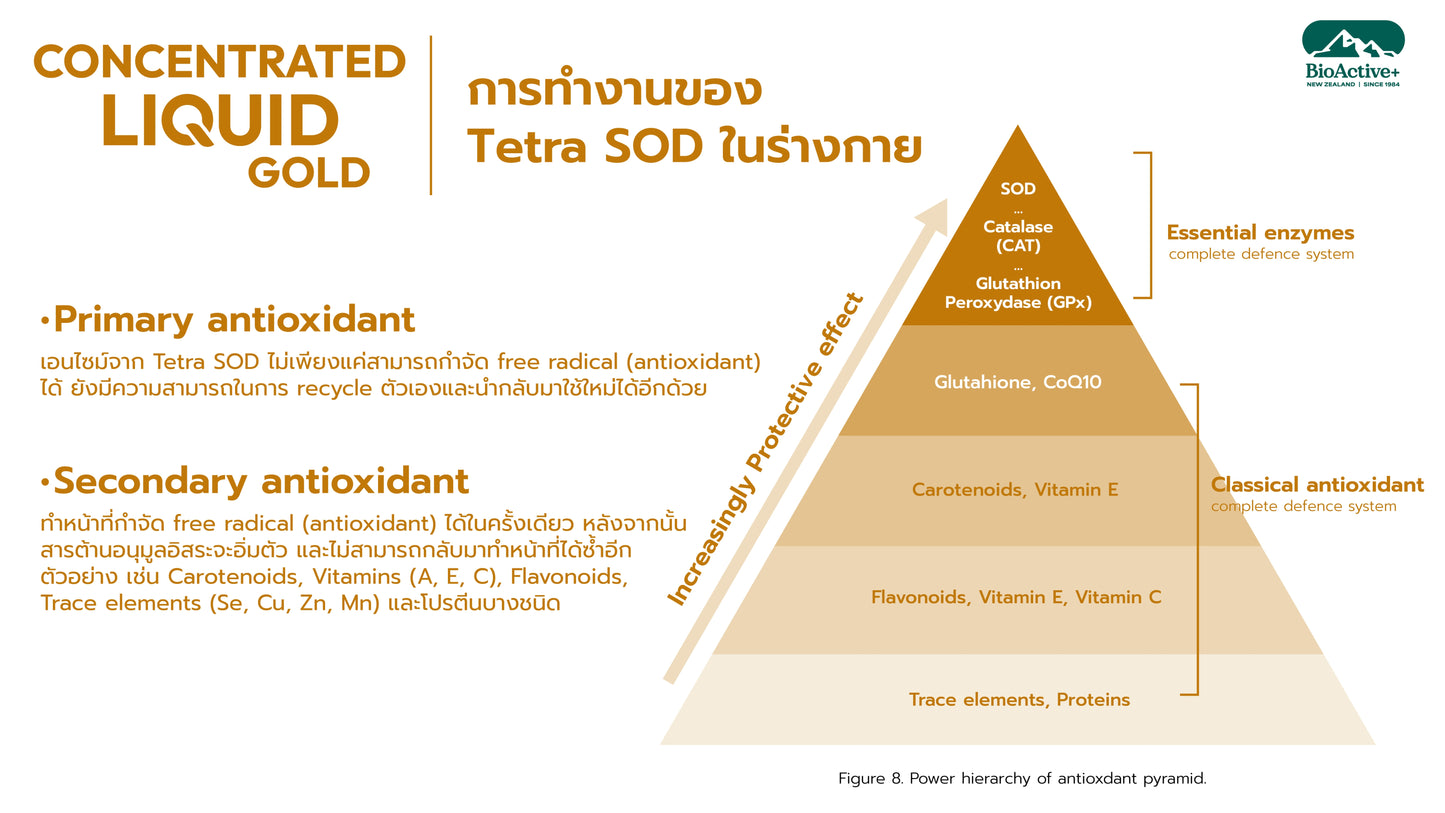 BioActive+ Concentrate Liquid Gold