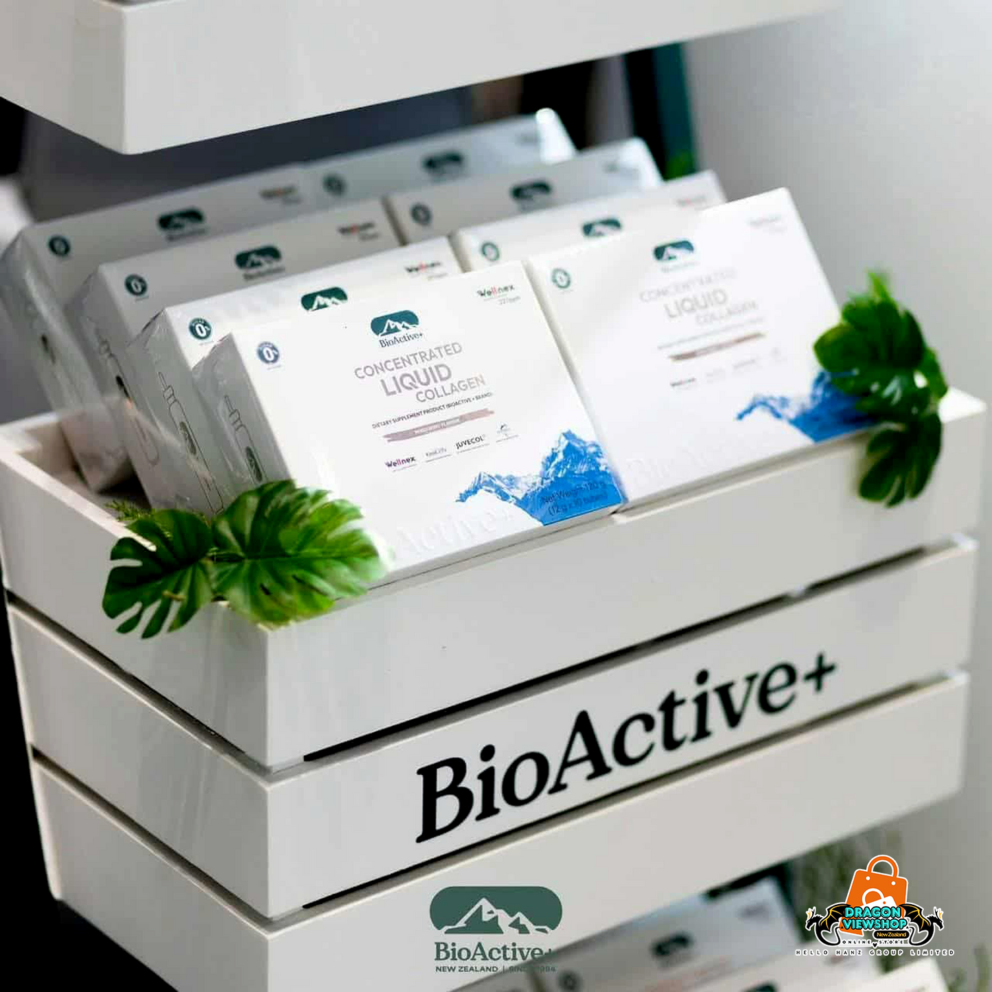 BioActive+ Concentrate Liquid Collagen Drink 1 Box