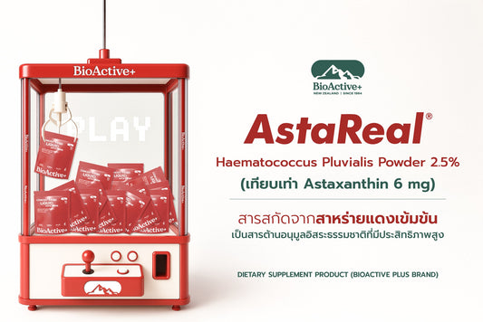 BioActive+ Concentrated Liquid Asta Drink 1 Box