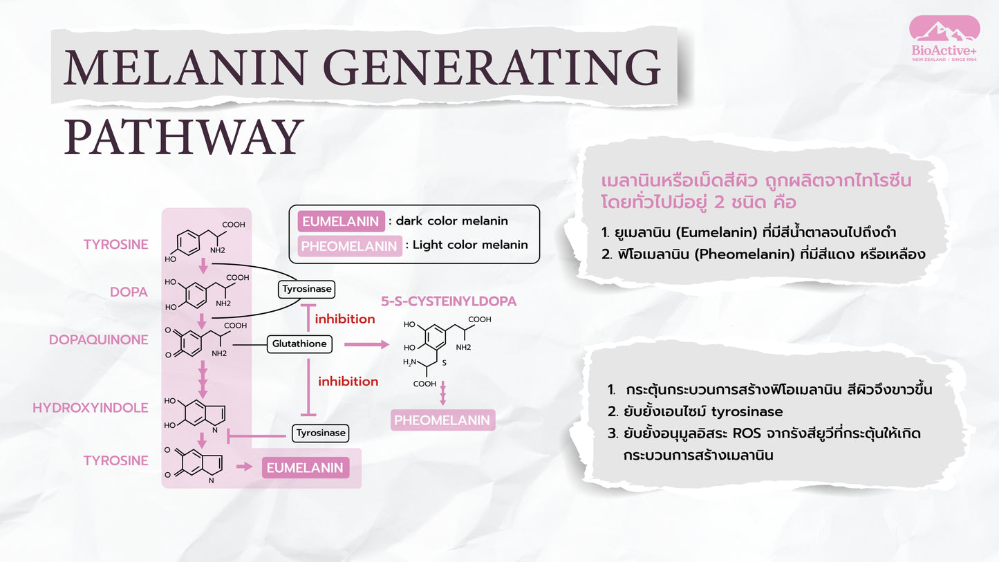 BioActive+ Concentrate Liquid Gluta