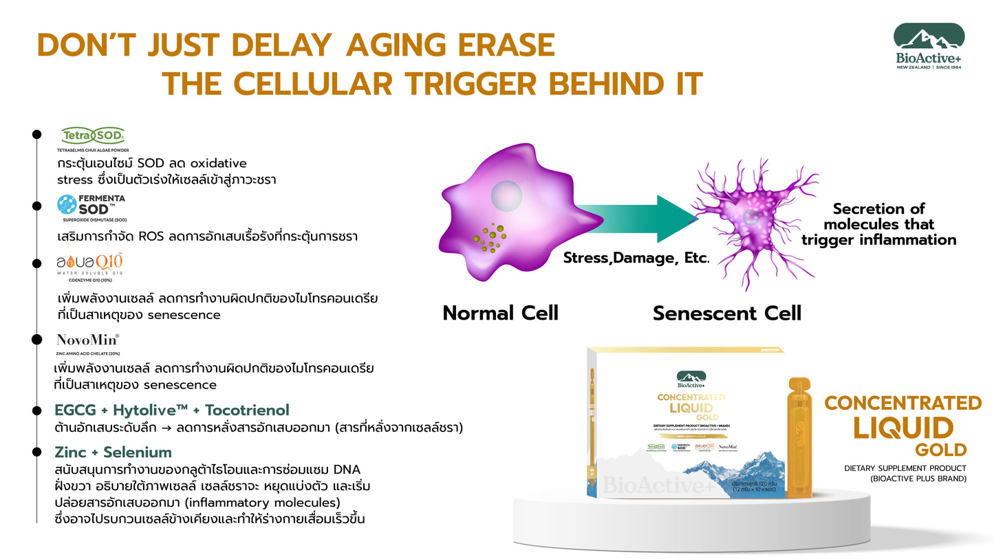 BioActive+ Concentrate Liquid Gold