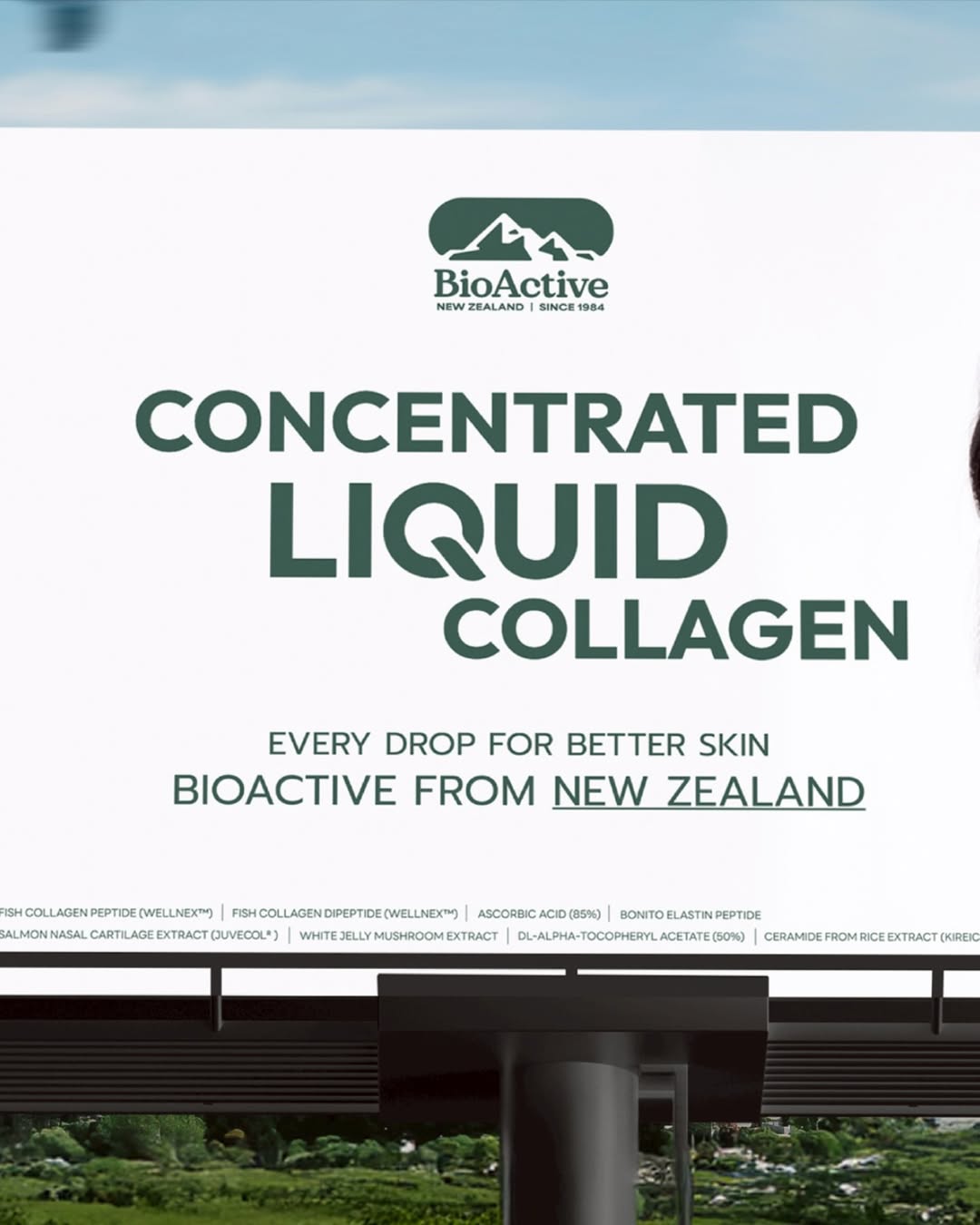 BioActive+ Concentrate Liquid Collagen Drink 1 Box
