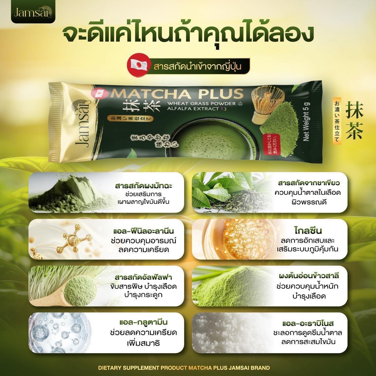 Jamsai Matcha Plus – Premium Japanese Matcha